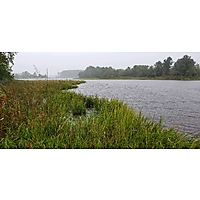 Low Tide image